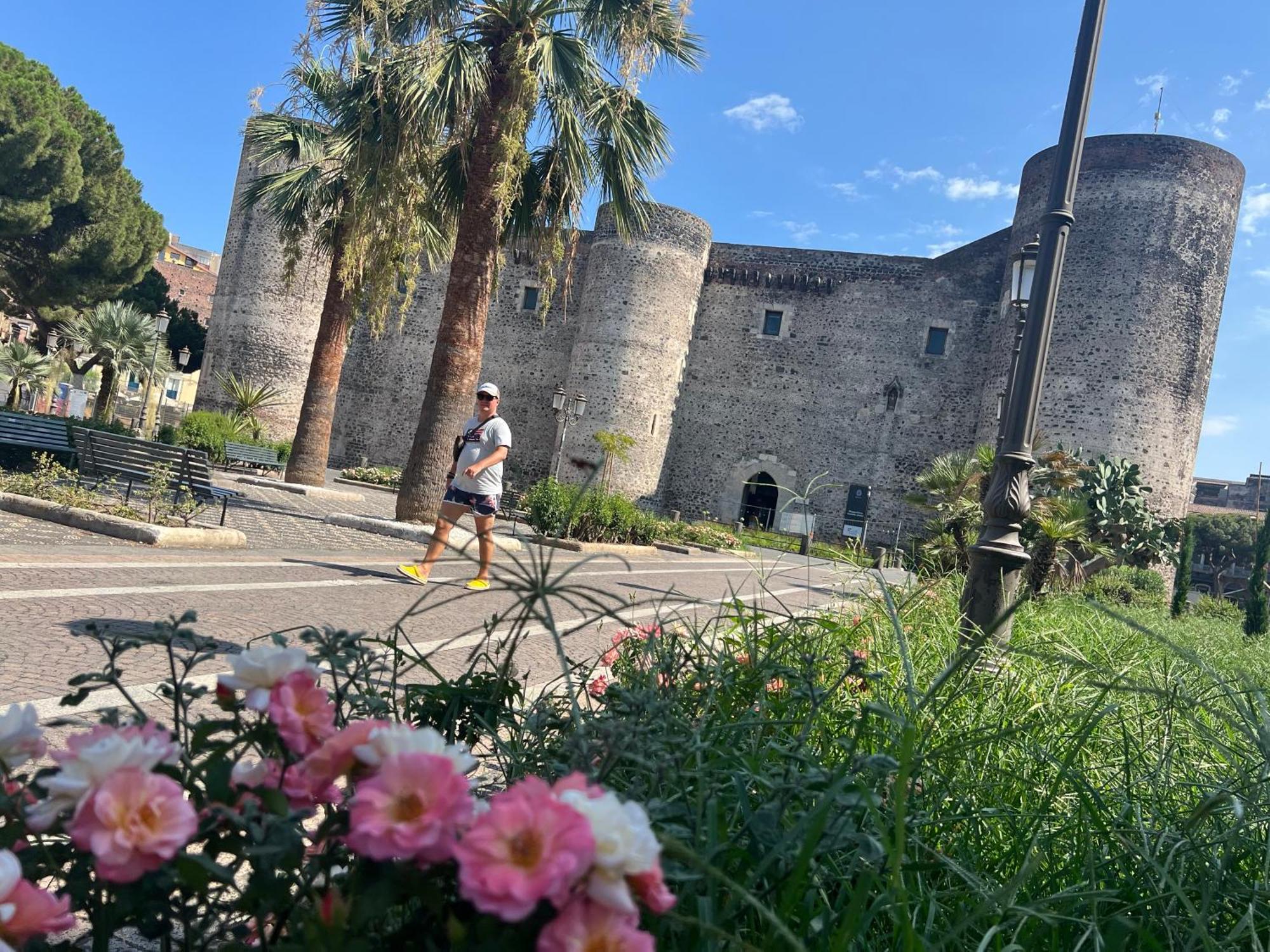 Elephant And Castle - Exclusive Catania